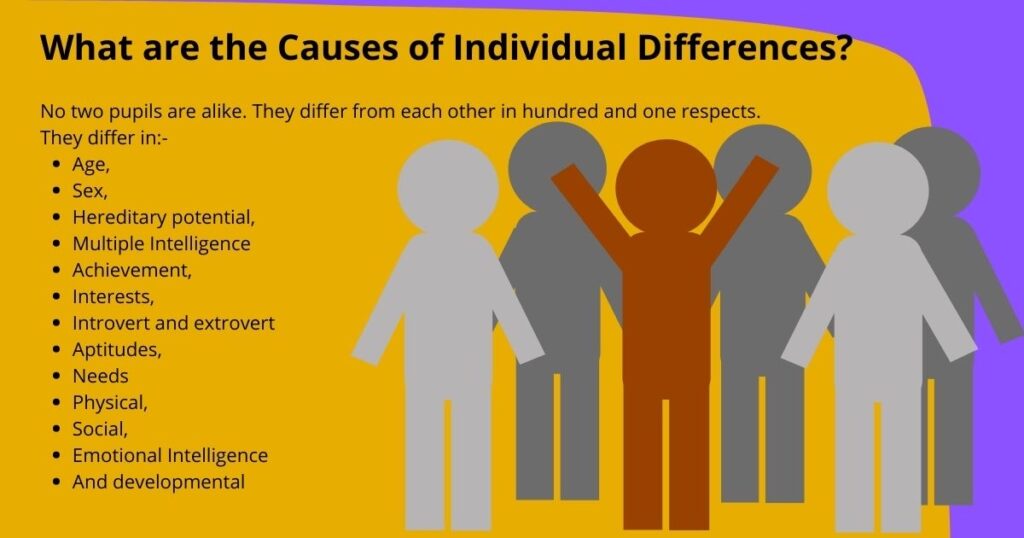 What are the Causes of Individual Differences