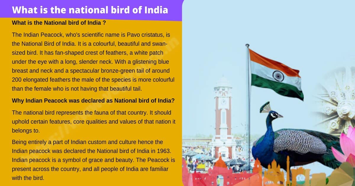 National bird of India | National Symbols