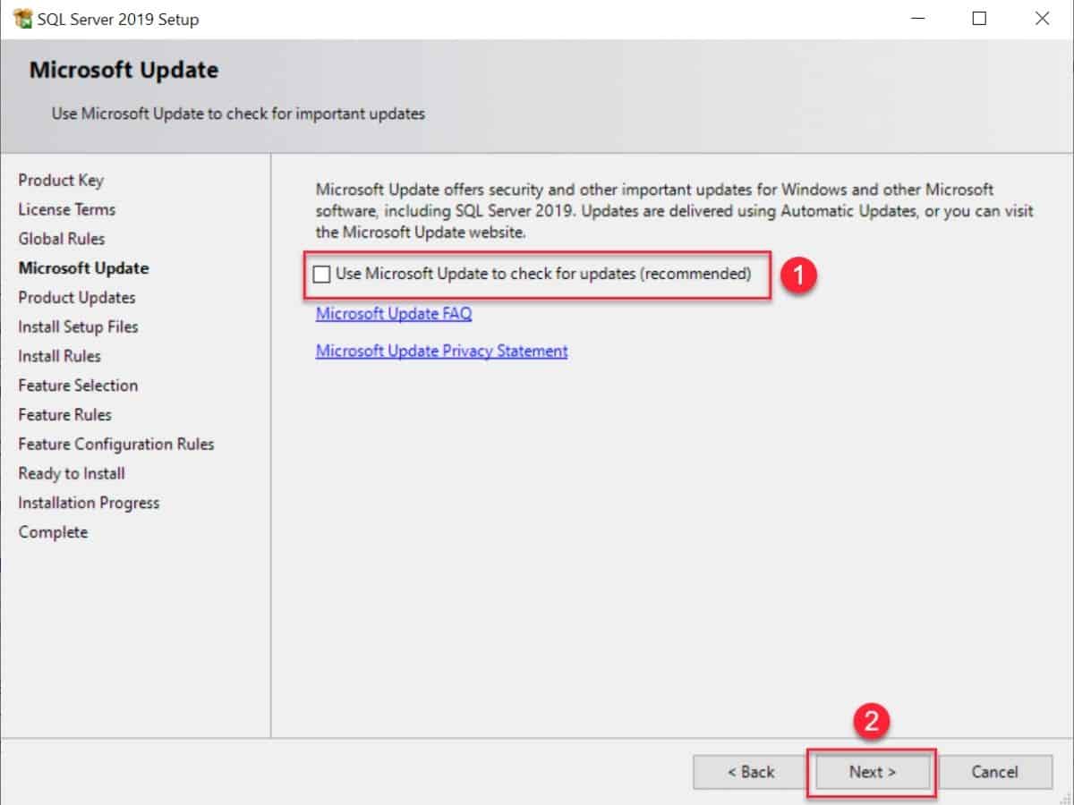 SQL Server installation- check if you want to get updates for SQL Server