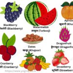 MCQs on Fruits Name