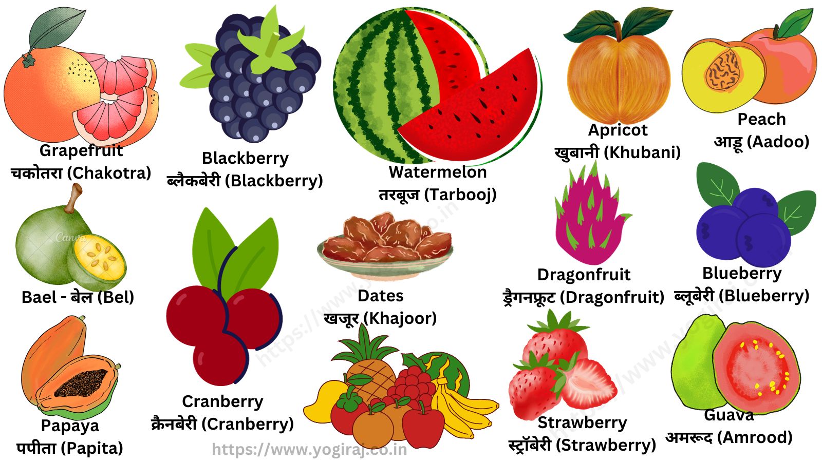 Common fruits name